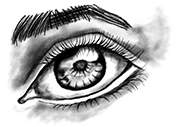 L'oeil 2