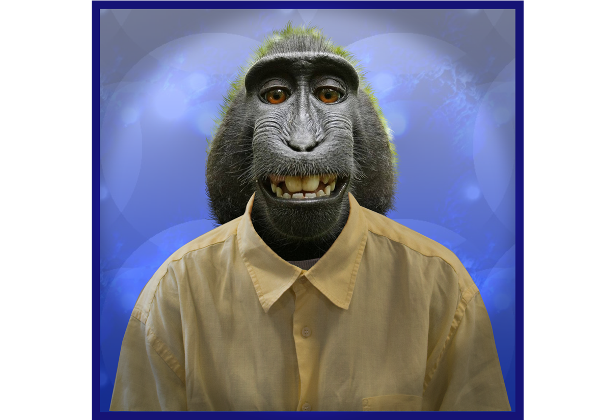 L'homme-singe
