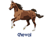 Cheval (Dessin)