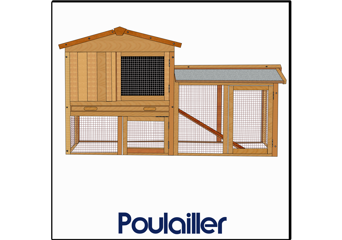 Poulailler (Dessin)