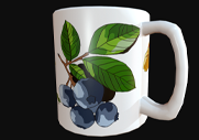 Tasse : Petit dej