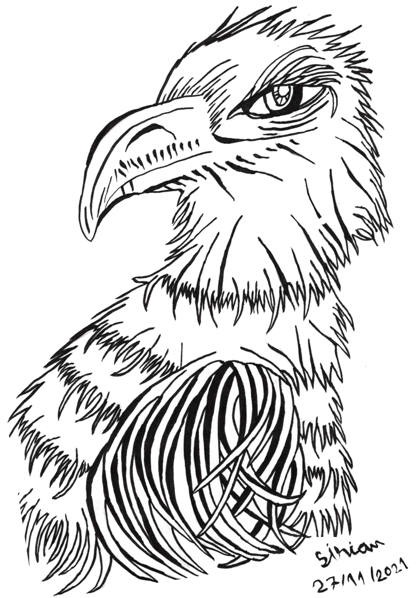 L'aigle