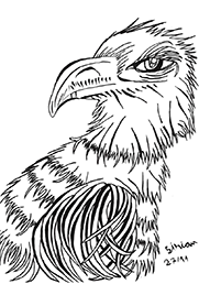 L'aigle