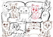 Chat Série 1 - Ensemble