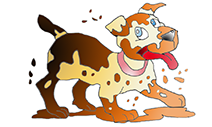 Chien sale