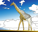 Girafe