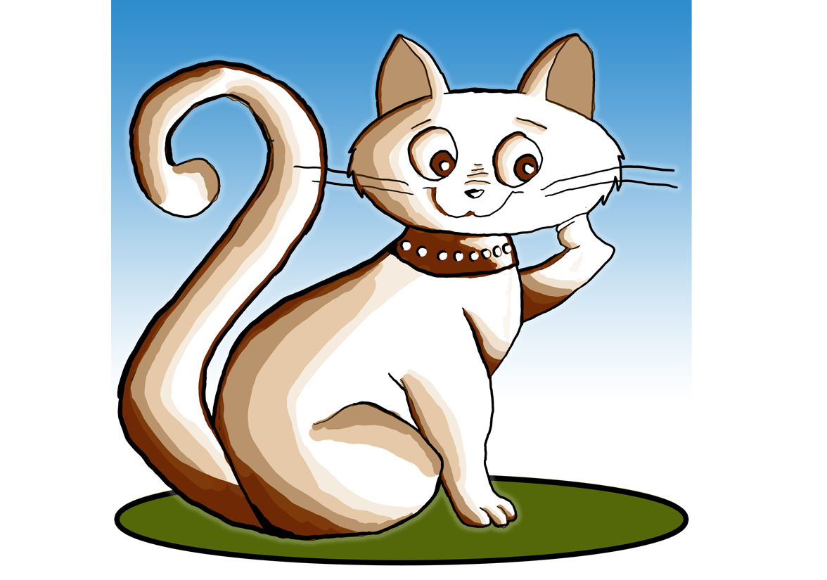 Le chat "Terrine"