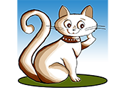Le chat "Terrine"