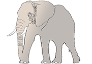 L'éléphant