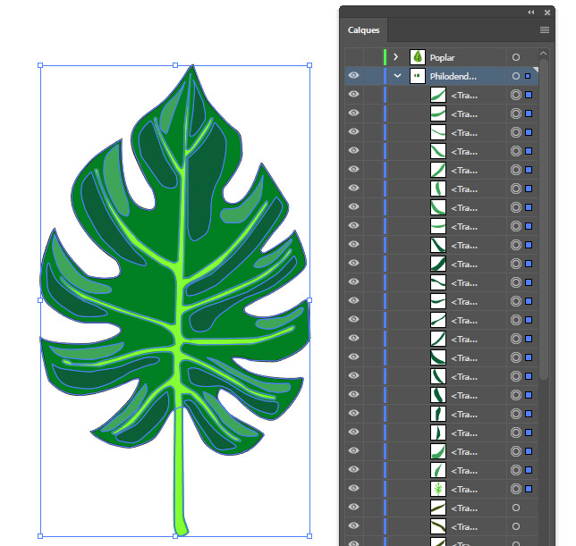 Feuille Illustrator