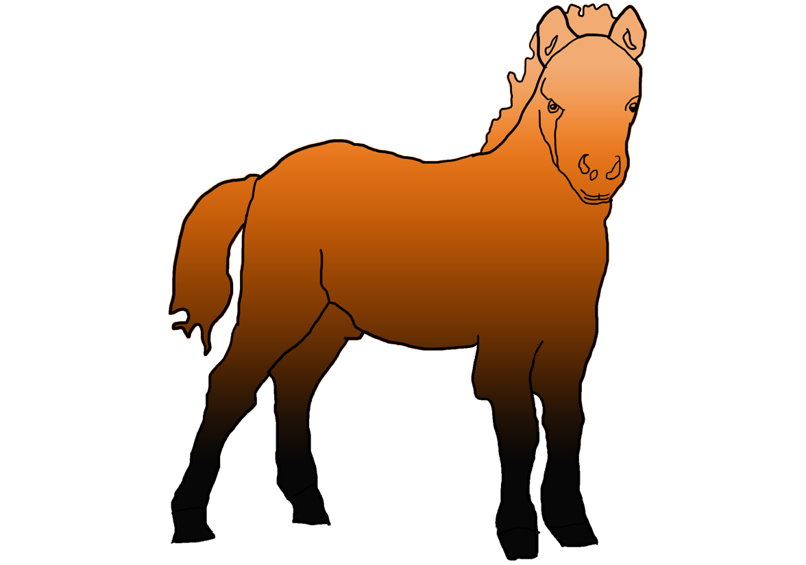 Le poney