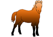 Le poney